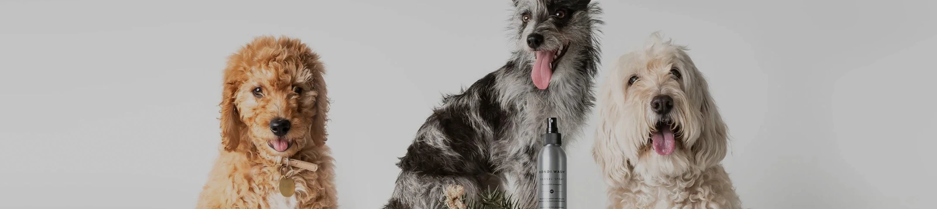  Bondi Wash biedt daarom een breed assortiment aan vegan producten voor huisdieren, waaronder de vegan Bondi Wash honden conditioner, hondenshampoo, kennelspray en droogshampoo.